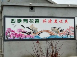  兴化墙绘的特点和形势