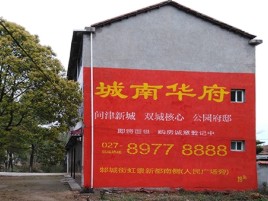  兴化百分之90的人都不了解的农村墙体广告