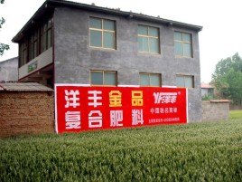  兴化如何让墙体广告展现最大化效果