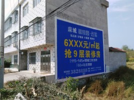  兴化墙体广告质量分析