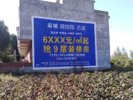  兴化墙体广告的好处