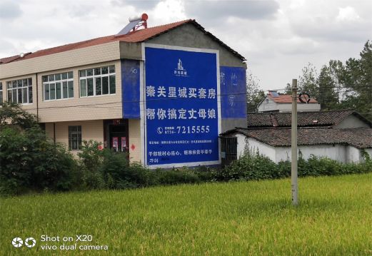 兴化决定墙体广告价格的因素有哪些?