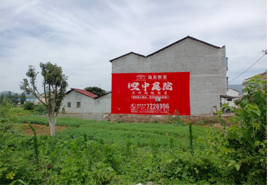  兴化做墙体广告的意义