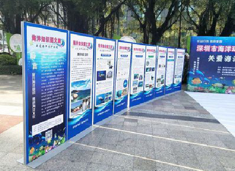  兴化KT板的种类和知识。